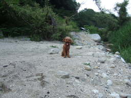 DSCF2370.JPG