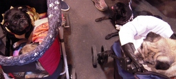 DSCN4776.JPG