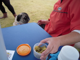 DSCN5040.JPG