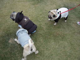 DSCN5056.JPG