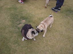 DSCN5060.JPG