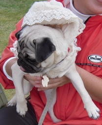 DSCN5067 - Rs[.JPG