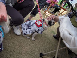 DSCN5566.JPG