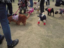 DSCN5572.JPG